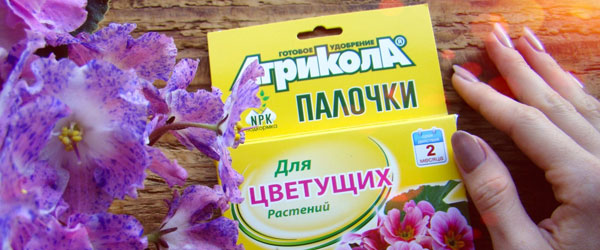 Новинка: Палочки для цветущих растений Агрикола Новинка: Палочки для цветущих растений Агрикола