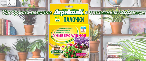 Новинка: Удобрение-палочки Агрикола с защитным эффектом Новинка: Удобрение-палочки Агрикола с защитным эффектом