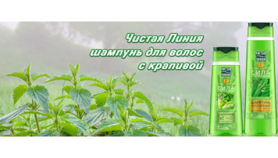 Новинка: Чистая Линия шампунь для волос с крапивой Новинка: Чистая Линия шампунь для волос с крапивой