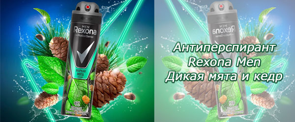 Новинка: Антиперспирант Rexona Men Дикая мята и кедр
