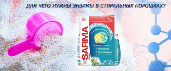 Для чего нужны энзимы в стиральных порошках? Для чего нужны энзимы в стиральных порошках?