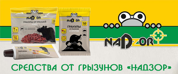 Новинка продукции: средства от грызунов «Надзор» Новинка продукции: средства от грызунов «Надзор»