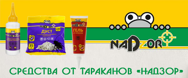 Новинка продукции: средства от тараканов «Надзор» Новинка продукции: средства от тараканов «Надзор»