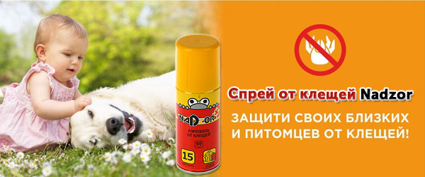 Новинка: спрей от клещей Nadzor